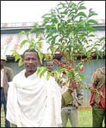 Ethiopian farmer
