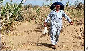 Drought-stricken landscape