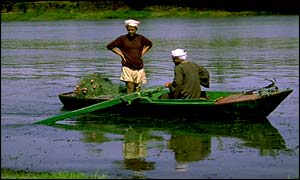 River Nile, Egypt - one of the countries where Bilharzia is prevalent