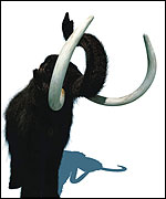 One of Wild New World's mammoths