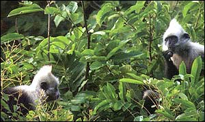 Zoological Society of San Diego