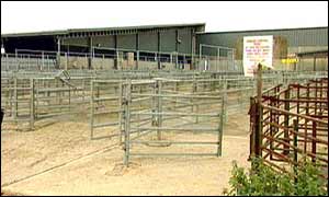 Northampton Cattle Market