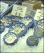 Caviar jars in a shop window
