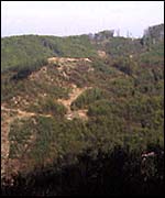 Hillside forest laid bare Pavol Kanuch