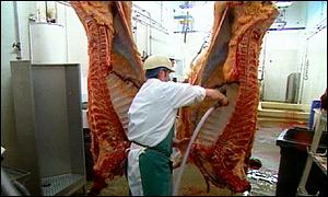 abattoir
