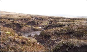 Peat bog near the centre of Britain