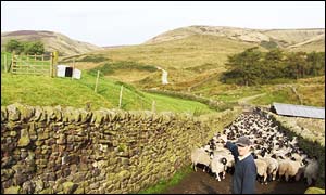 Farmer Geoff Walker points the way