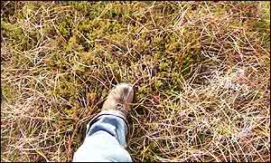Author's self-portrait at the centre of Great Britain