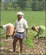 Farmers at Mandya in Karnataka