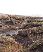 Peat bog near the exact centre of Great Britain