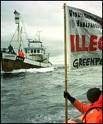 Greenpeace demo against a Norwegian whaling ship in North Sea 