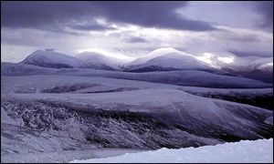 Cairngorms scene