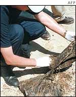 Investigator examines items on the shore near where the Limburg blast occurred
