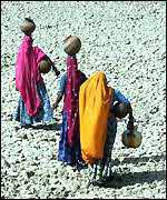 Women in search of water in Rajasthan