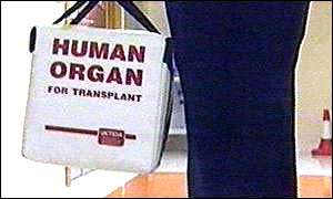 Organ bag 