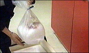 Organ ready for transplant