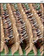 North Korean troops march in a parade
