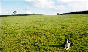The centre of Northern Ireland is behind Meg in this photo