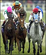 Starine (right) heads the field