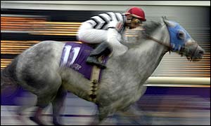Starine wins the Breeders' Cup Filly & Mare Turf