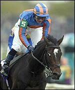 Michael Kinane and High Chaparral after their victory