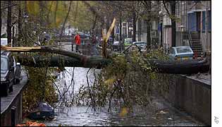 An uprooted tree lies over one of Amsterdam's canals 