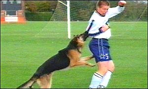 The dog attacks player Craig Jackson