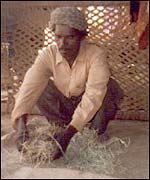 Saharia villager in Rajasthan preparing meal with grass seeds