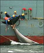 Japanese whalers