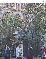 Natural History Museum