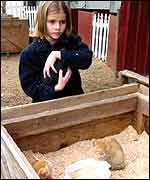 Molly Bundy, 9, cuddles a kitten at the Krause farm petting zoo 