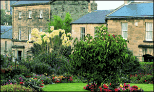 Town houses in Alnwick