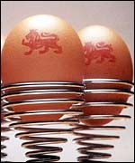 Lion marked eggs