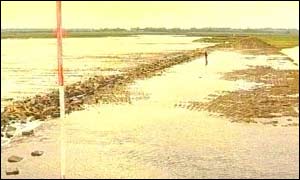 Abbotts Hall Farm, Essex