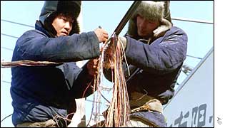 China Telecom engineers