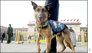 A police dog waits with its handler in Beijing's Tiananmen Square, as a military policeman questions people entering the square (left)