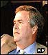 Jeb Bush