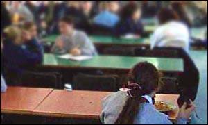 School meal - generic