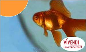 Vivendi Environnement