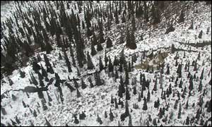 Alaska quake, Peter Haeussler, US Geological Survey