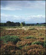 The battlefield at Culloden