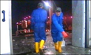 The fish is taken to auction