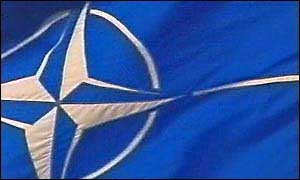 Nato flag 
