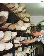 Zimbabwe ivory auction 