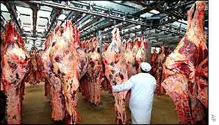 Carcasses at Rungis wholesale meat market, Paris