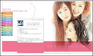 How the website for S.E.S. looks