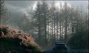 Juuso Pykalisto's Peugeot 206 battles through the forests on the Trawcoed Special Stage