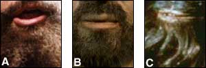A. Brian Blessed, B. BBC recreation of what Jesus might have looked like, C. Star Wars' Chewbacca