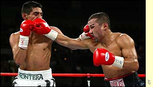 Erik Morales and Paulie Ayala in action