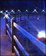 Sherwood Forest at night